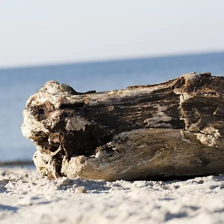 公寓 伯尔格伦德海滩公寓酒店 Börgerende-Rethwisch